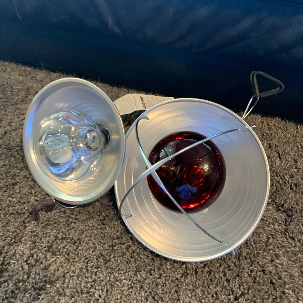 Heating Lamps